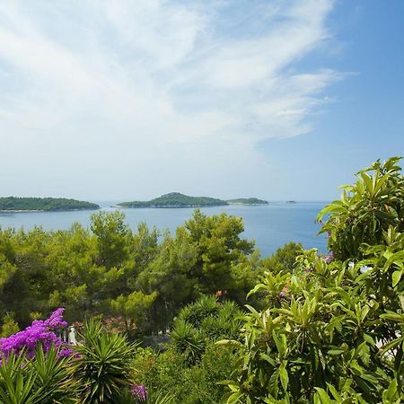 Apartments Ante Smokvica  Εξωτερικό φωτογραφία